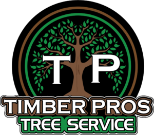 Timber Pros Tree Service Tree Removal Kokomo Indiana – Licensed Tree Experts